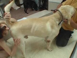 Altes vollbusiges Baby behandelt ihren Hund nett