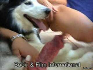 d g climax lust for dogs 6