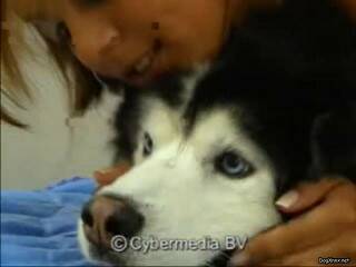dog joins a brunette hair in daybed