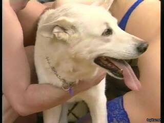pussy loving pitbull 1